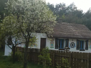 Zagroda Zalipie, Gostynin